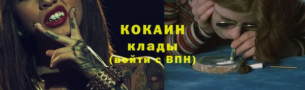стаф Волосово
