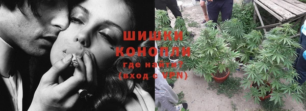 стаф Волосово
