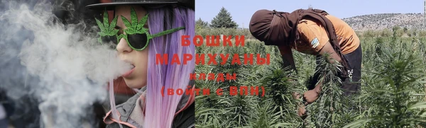 стаф Волосово