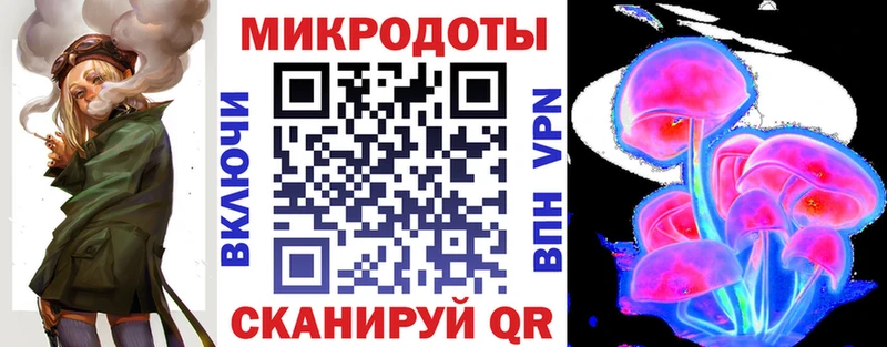 Галлюциногенные грибы Psilocybe  купить   Гатчина 