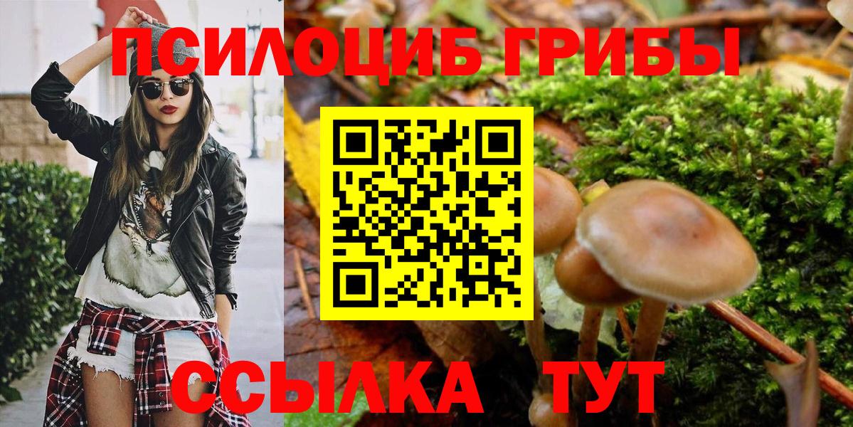 Галлюциногенные грибы MAGIC MUSHROOMS Гатчина
