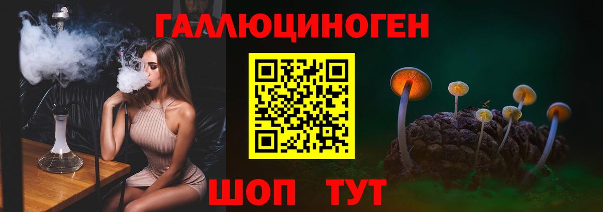 Кокаин Гатчина