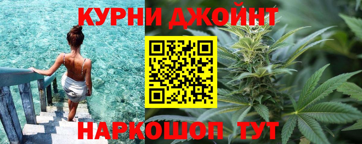 Конопля планчик Гатчина
